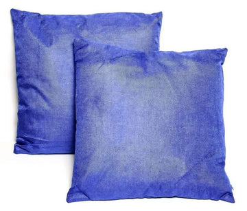 2-Pack: Blue Throw Pillows
