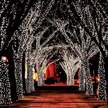 55' Solar-Powered 100-LED Fairy Light String - Warm White