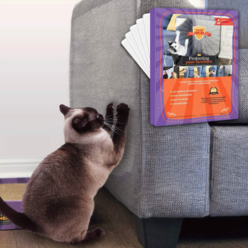 6-Pack: Amazing Shields Cat Scratch Deterrent
