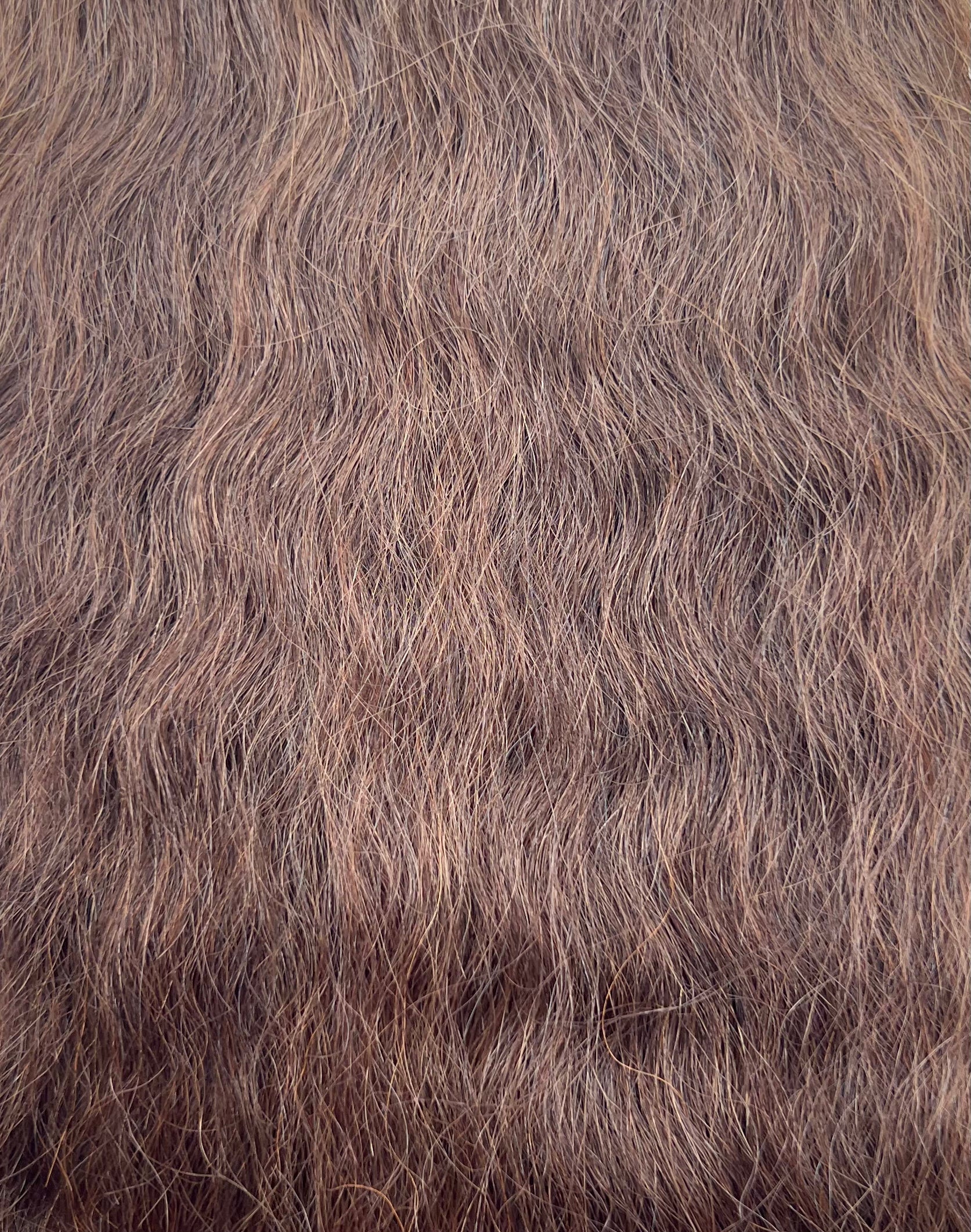 TRESS Collection Human Hair Blend - Super Bulk 16