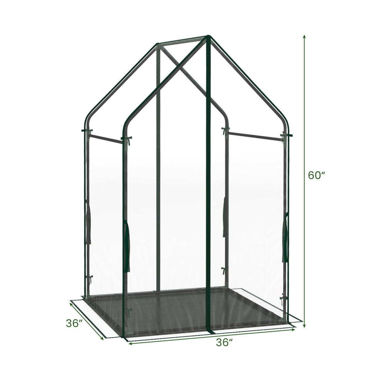 Mini Green House Metal Frame with Waterproof Bottom Mat and Wind Ropes