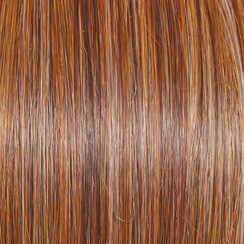 Raquel Welch Upstage Wig, New With Tags - Large