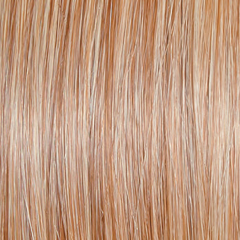 Raquel Welch Spotlight Wig Hairpiece New With Tags