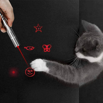 Cats Indoor and Outdoor Laser Toy