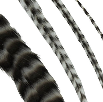 Donna Bella Striped Black and White Feather Hair Extensions