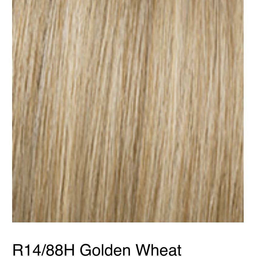 HD 23" Grand Extension by Hairdo
