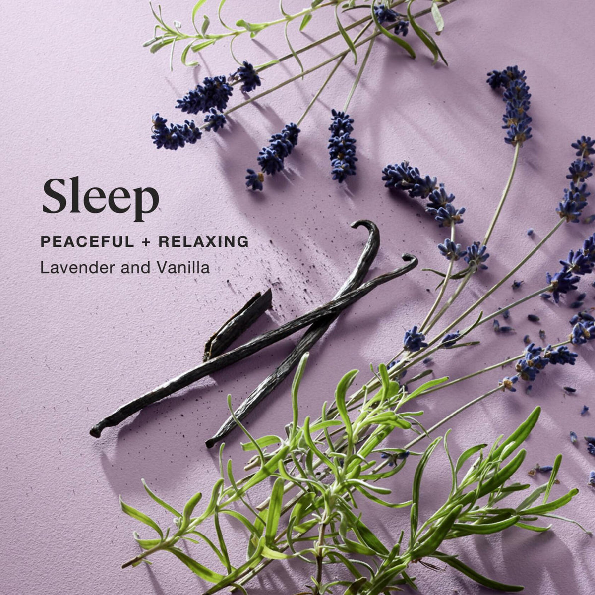 Sprig by Kohler Sleep Aromatherapy Candle with Lavender and Vanilla - 8 oz