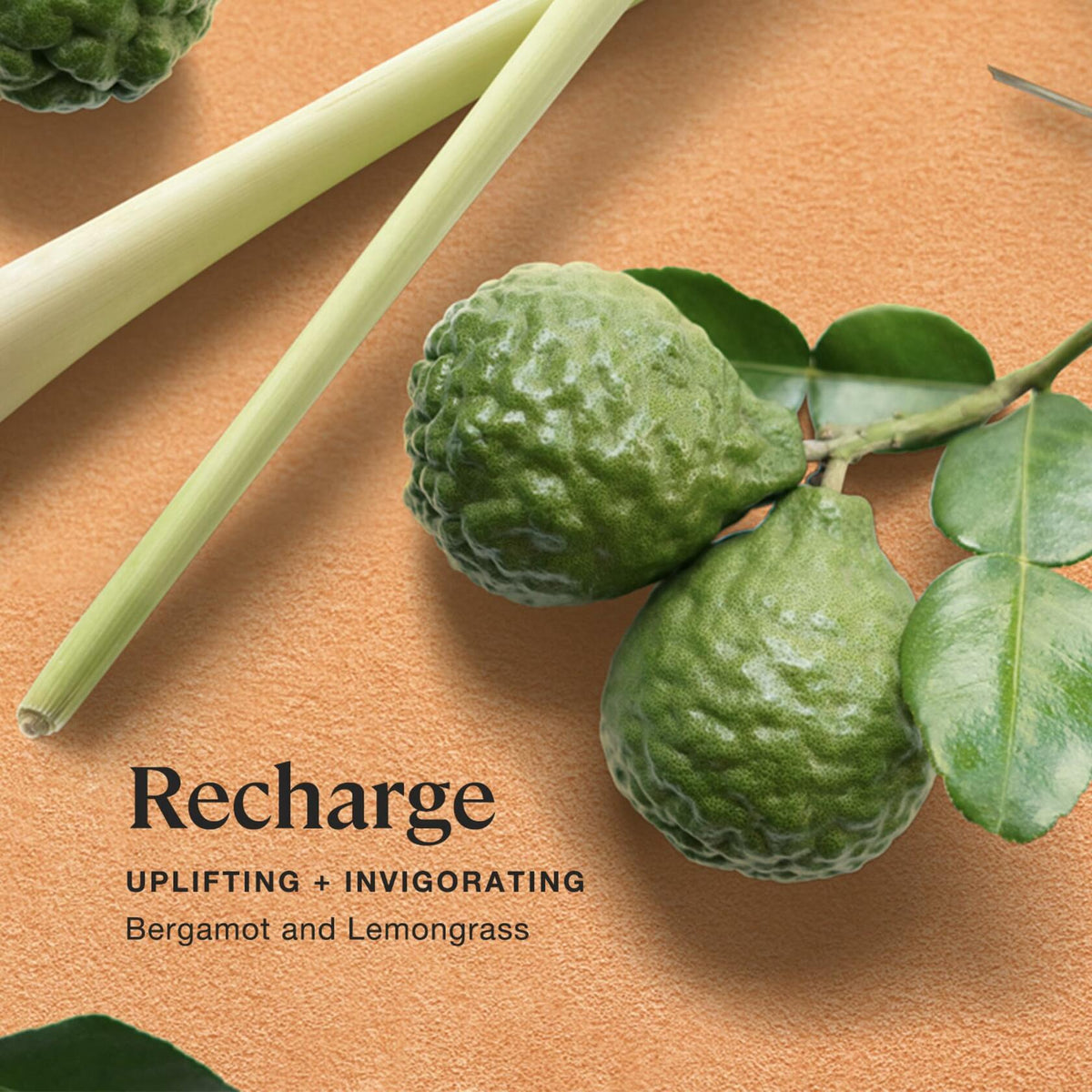 Sprig by Kohler Recharge Aromatherapy Candle with Bergamot and Lemongrass - 8 oz