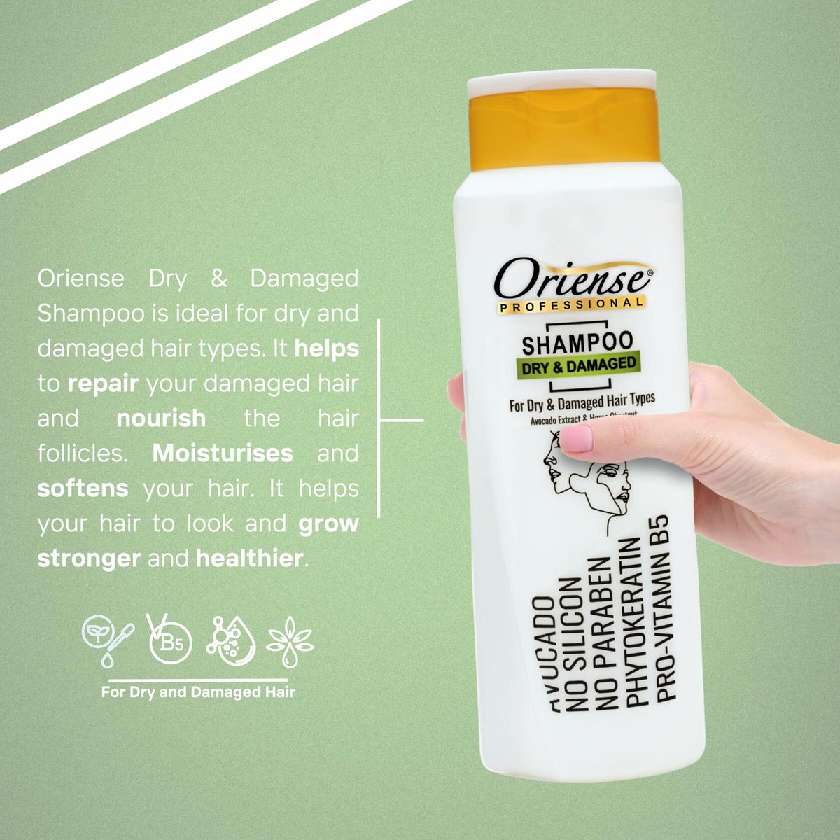 Oriense Professional Shampoo for Dry Damaged Hair Avocado Extract 20.2oz