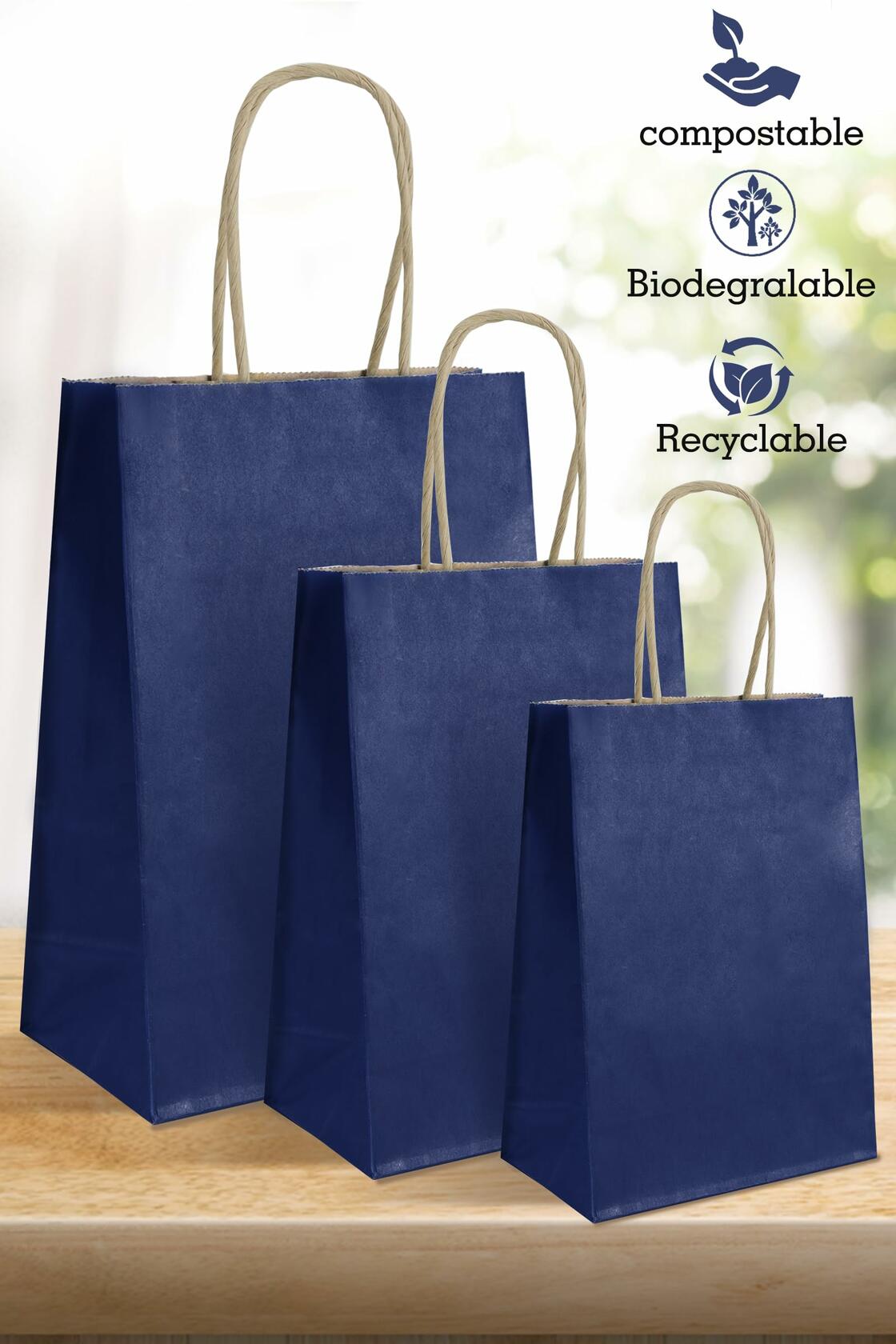 BIOBROWN Black Gift Bags with Handles 25 Pcs 5.9x3.15x8.26in Bulk Party