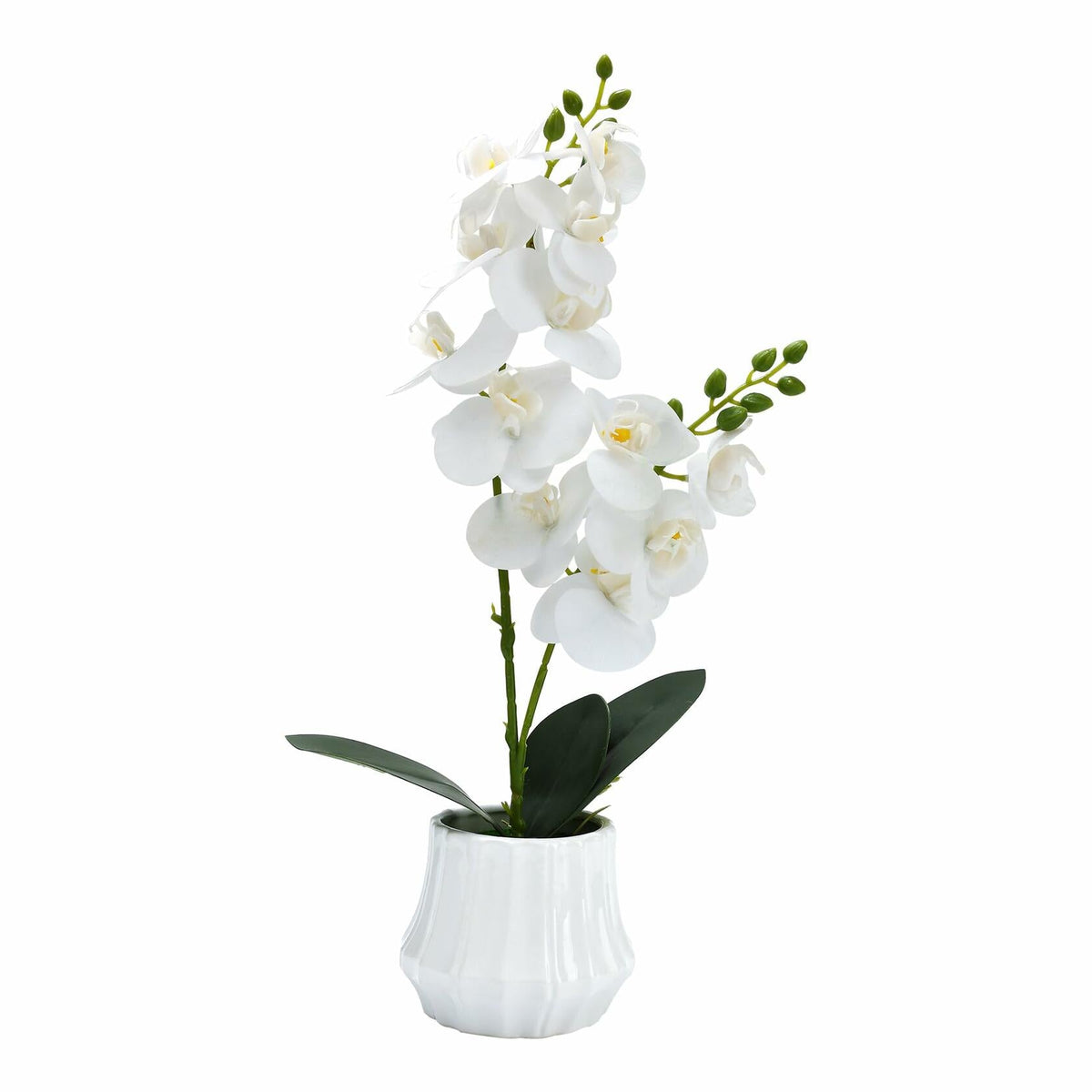 Angerlo 13" White Artificial Butterfly Orchid Ceramic Vase Decor
