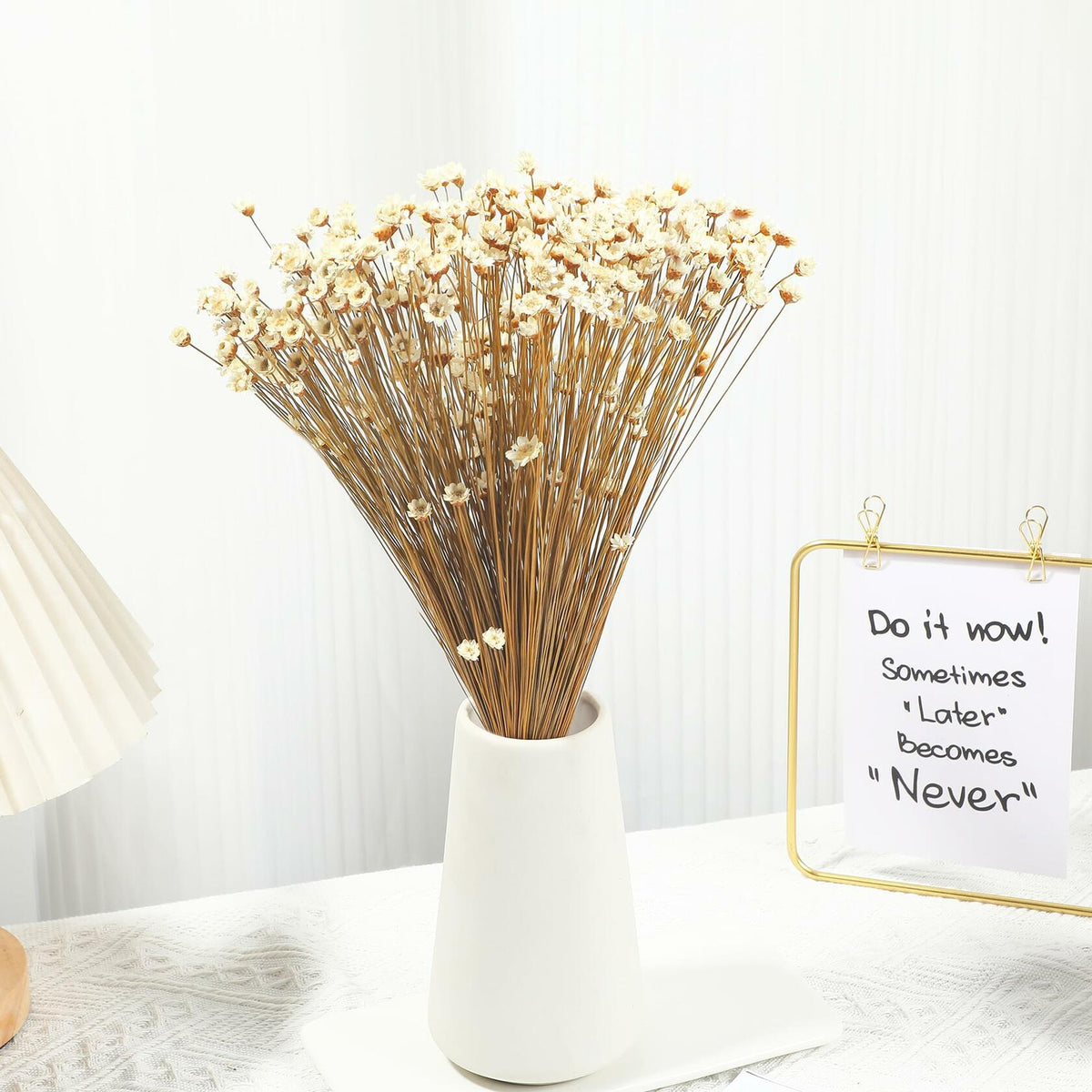 Dried Daisy Flowers Brazilian Small Star Mini Chamomile White Wedding Decor