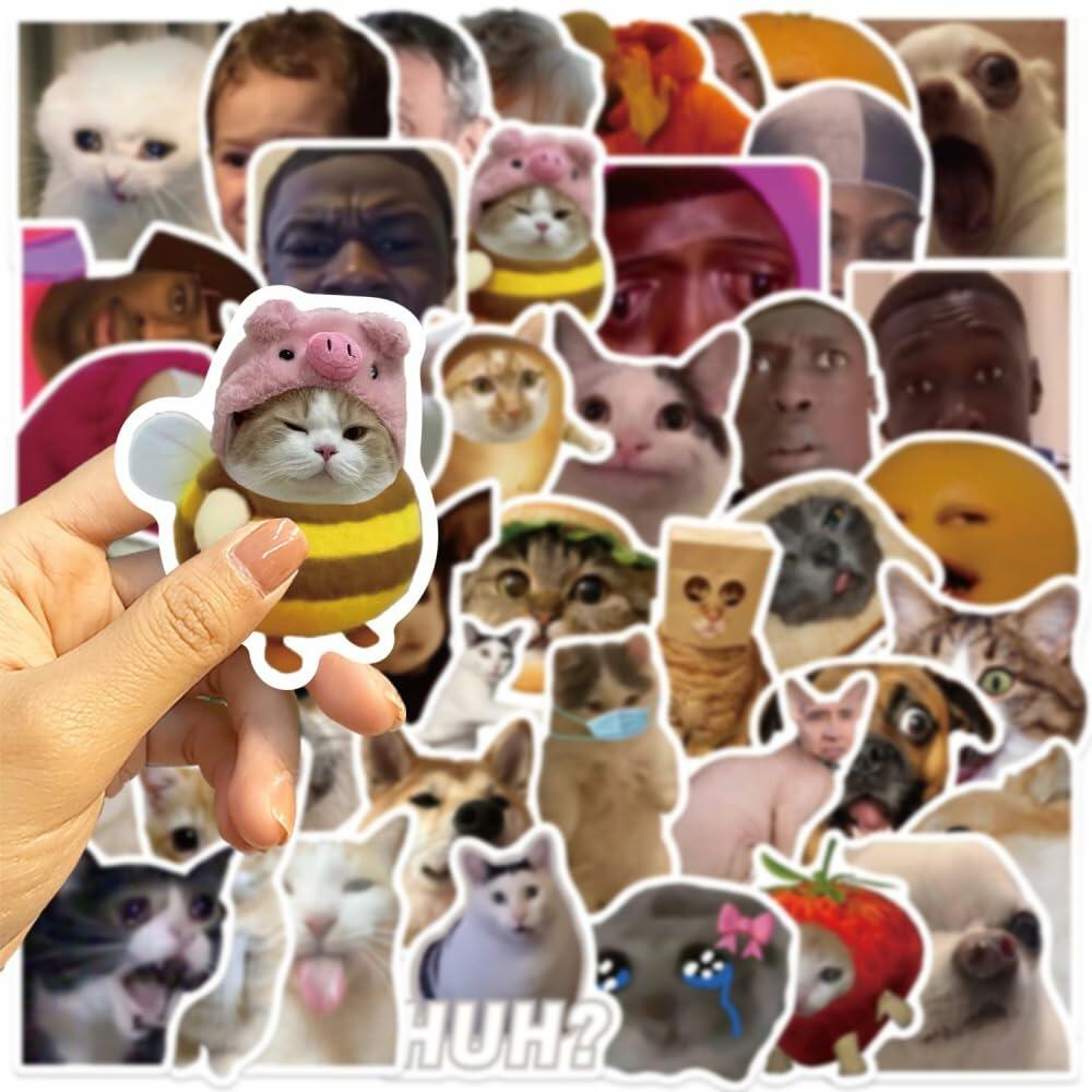 50PCS Funny Meme Vinyl Waterproof Stickers for Water Bottles Laptop Computer