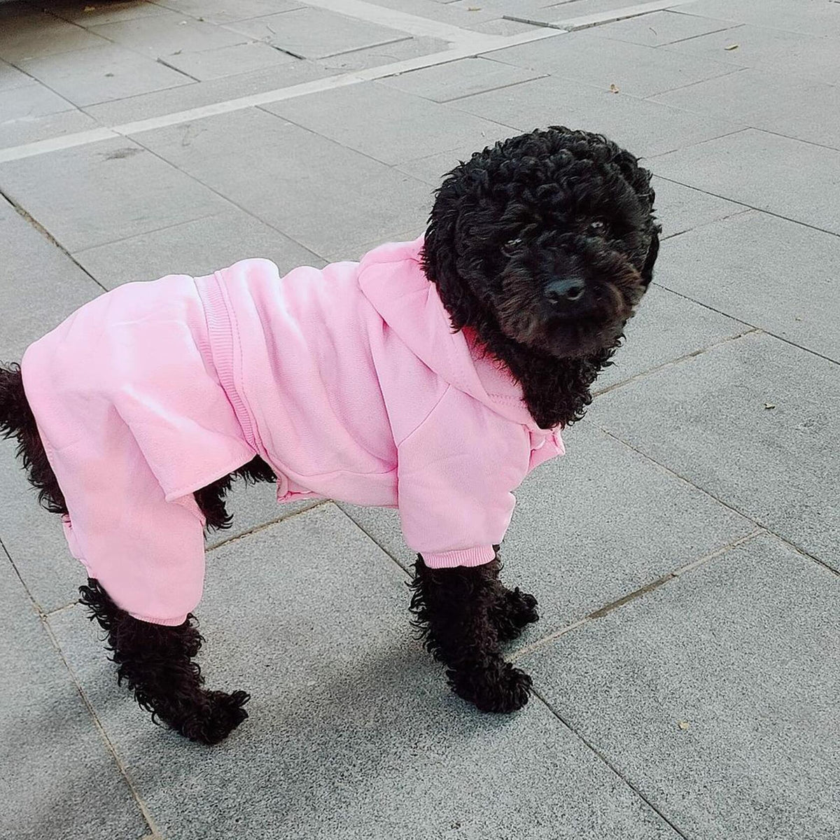 LifeWheel Pet Hoodie Fleece Jumpsuit Winter Warm Cotton Black + Pink Size S M L