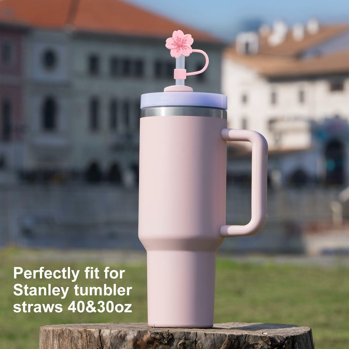 CXLL Silicone Straw Covers Flower Caps for Stanley Tumbler 30&40oz 3pcs