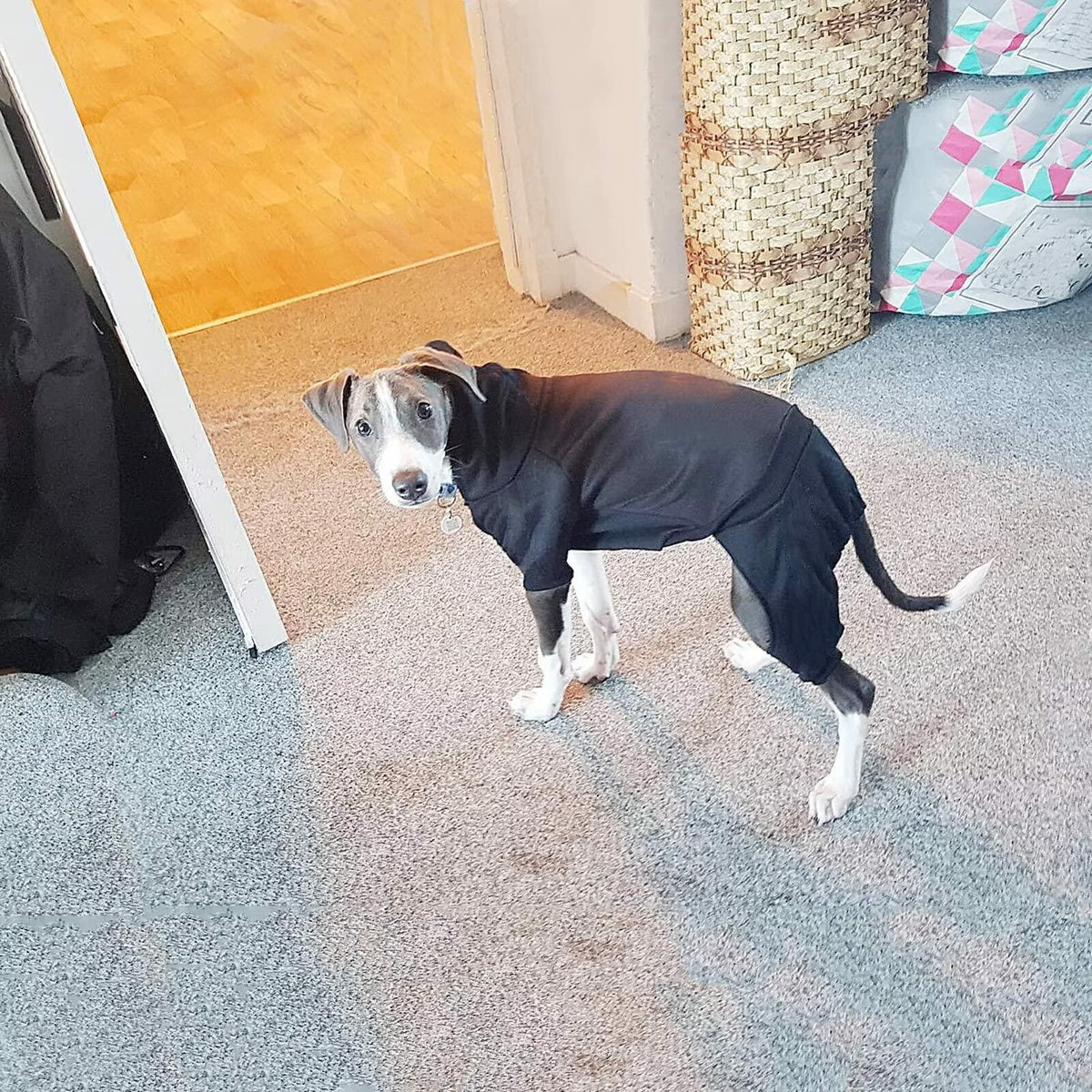 Dog Hoodie Pet Jumpsuit Fleece Sweatshirt Buttons Winter Warm Cotton Size Medium