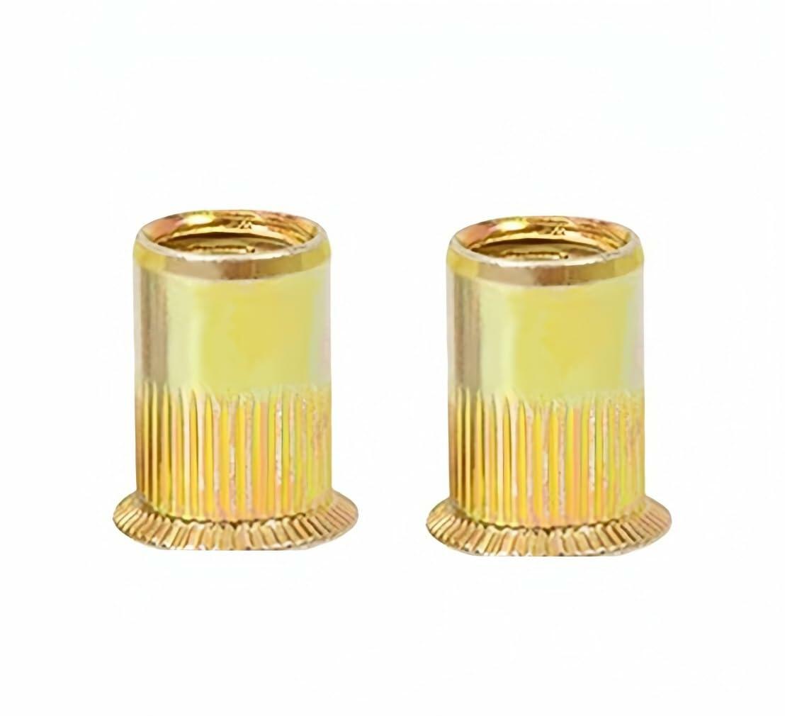 TESILANG M5 Stainless Steel Countersunk Zinc Rivet Nut 50pcs