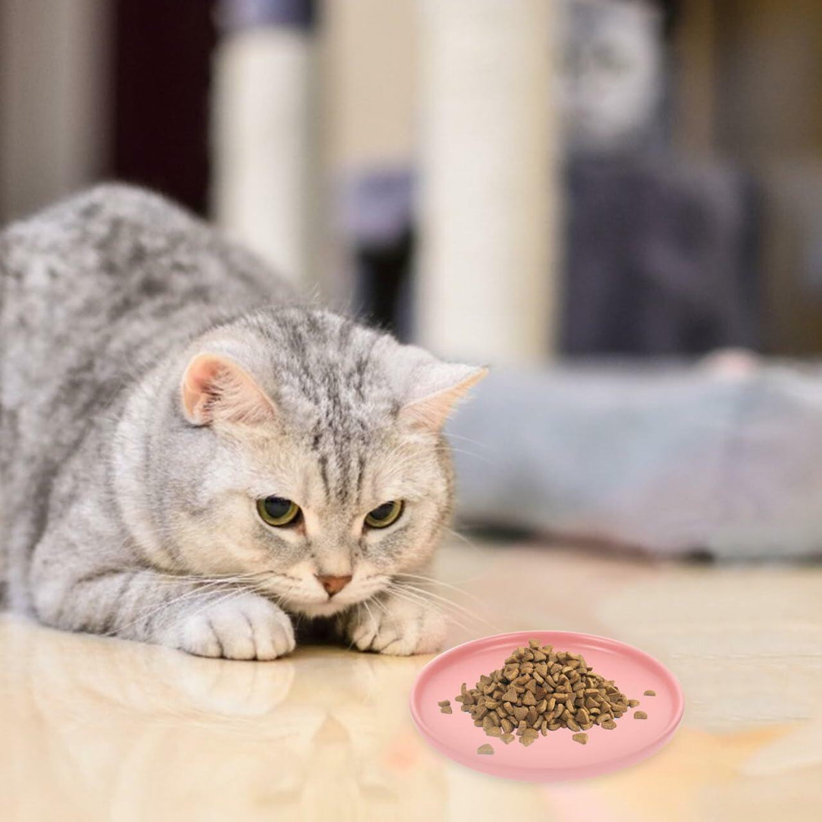 Balacoo Ceramic Cat Food Bowl Shallow Whisker Friendly Indoor Dish