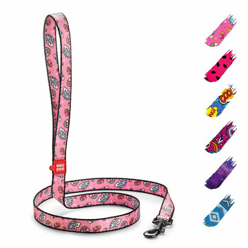 WAUDOG Nylon Dog Leash Heavy Duty 4 Ft for Small & Medium Dogs