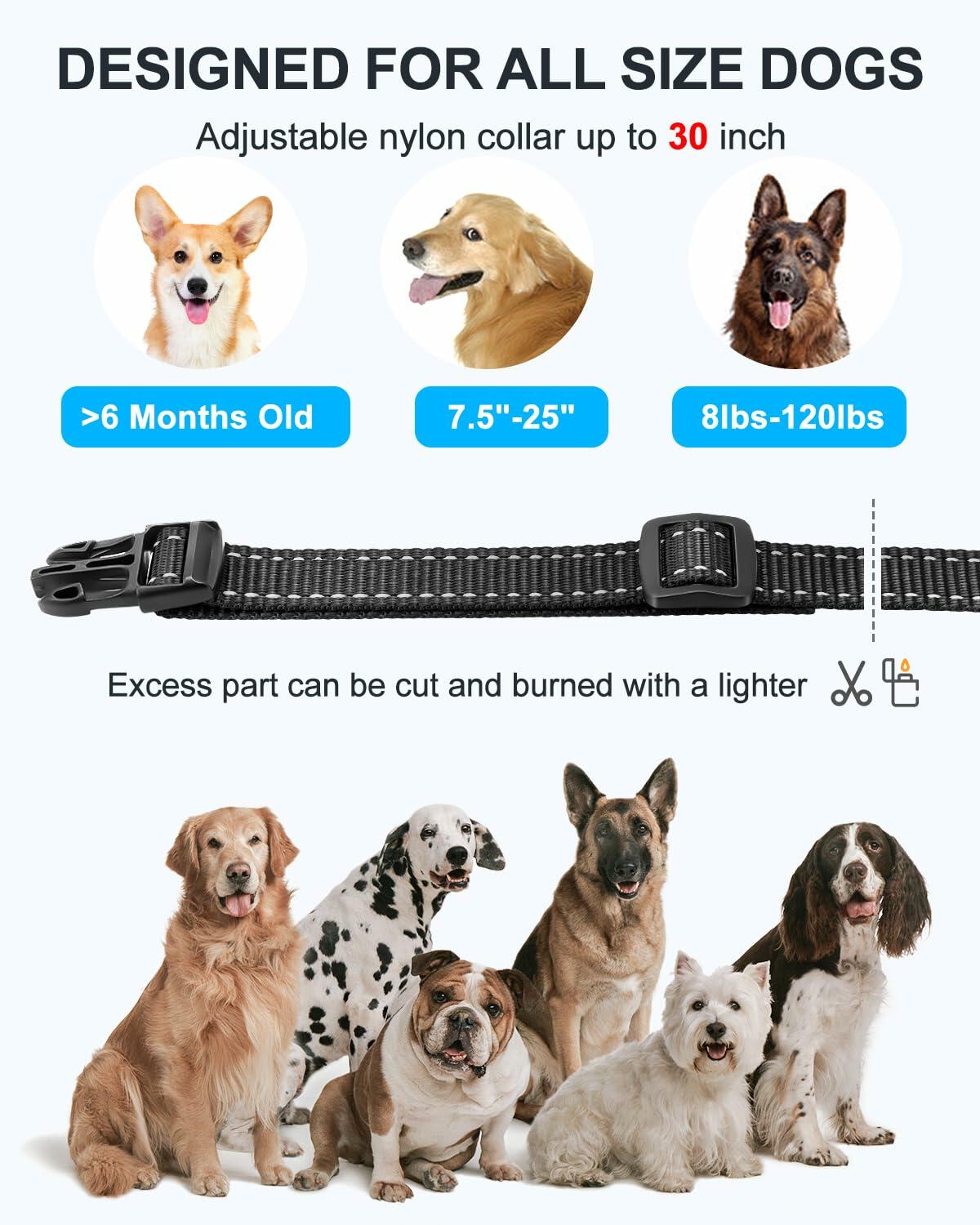 No Shock Dog Training Collar Remote Vibrate Safe Lock Waterproof Black