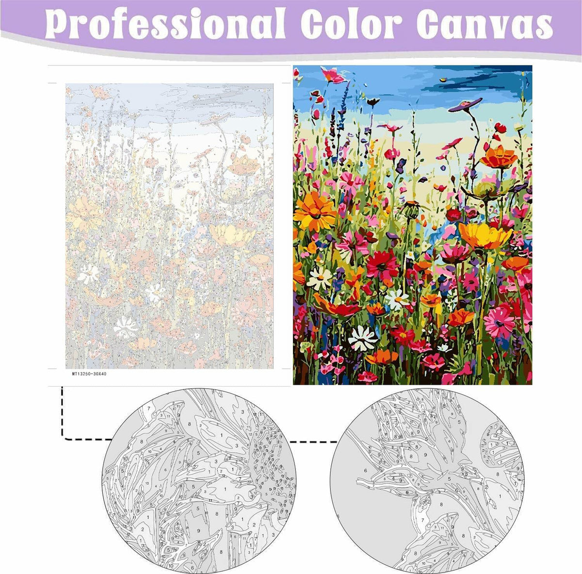 [Like New] Eiazuiks Paint by Number Kit Wild Flower 12x16 with Frame & Brushes