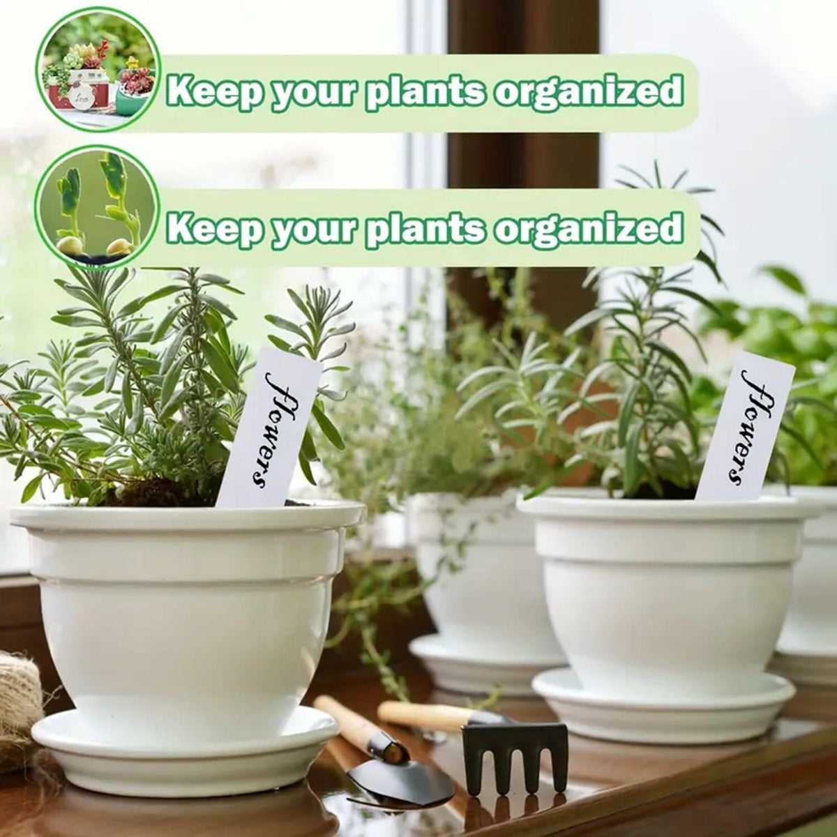 [Like_new] meumtuu 200 PCS White Plastic Plant Labels Garden Markers PVC PVCPL-200W