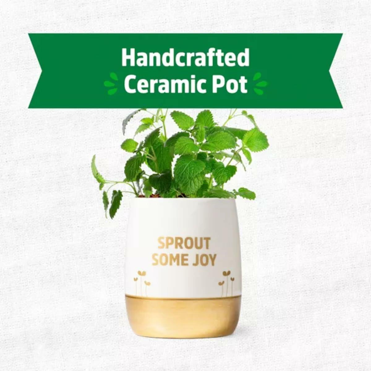 Wellness Grow Kit Lemon Balm Herb Plant Grow Kit 0.75lb Package