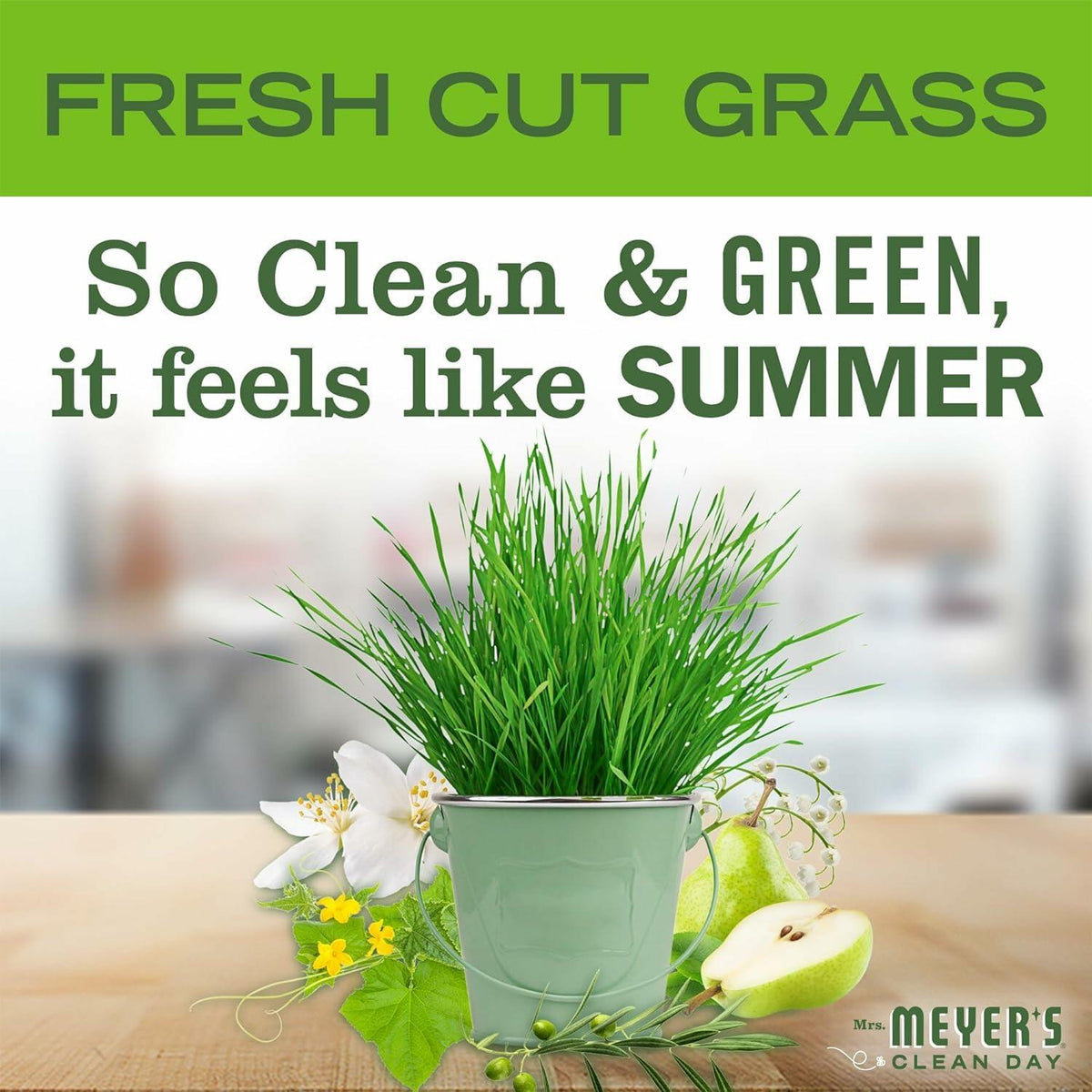 Mrs. MEYER'S CLEAN DAY Liquid Dish Soap Fresh Cut Grass Scent 16oz