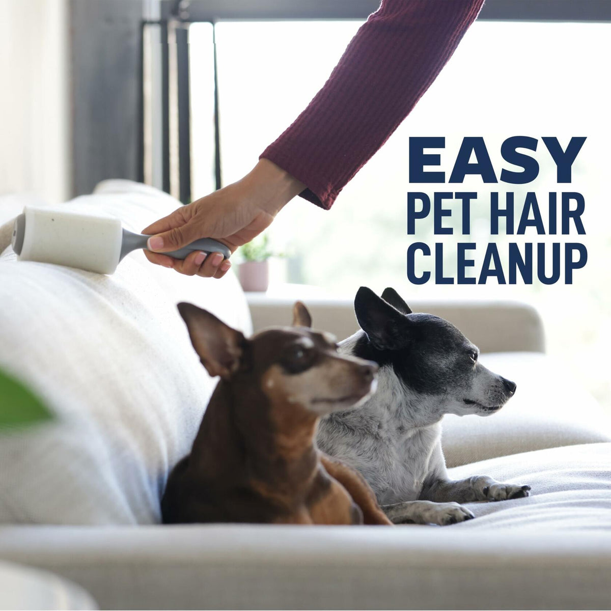 Scotch-Brite Everyday Clean Lint Roller, Pet Hair, 100 Sheets, White, 1 Pack