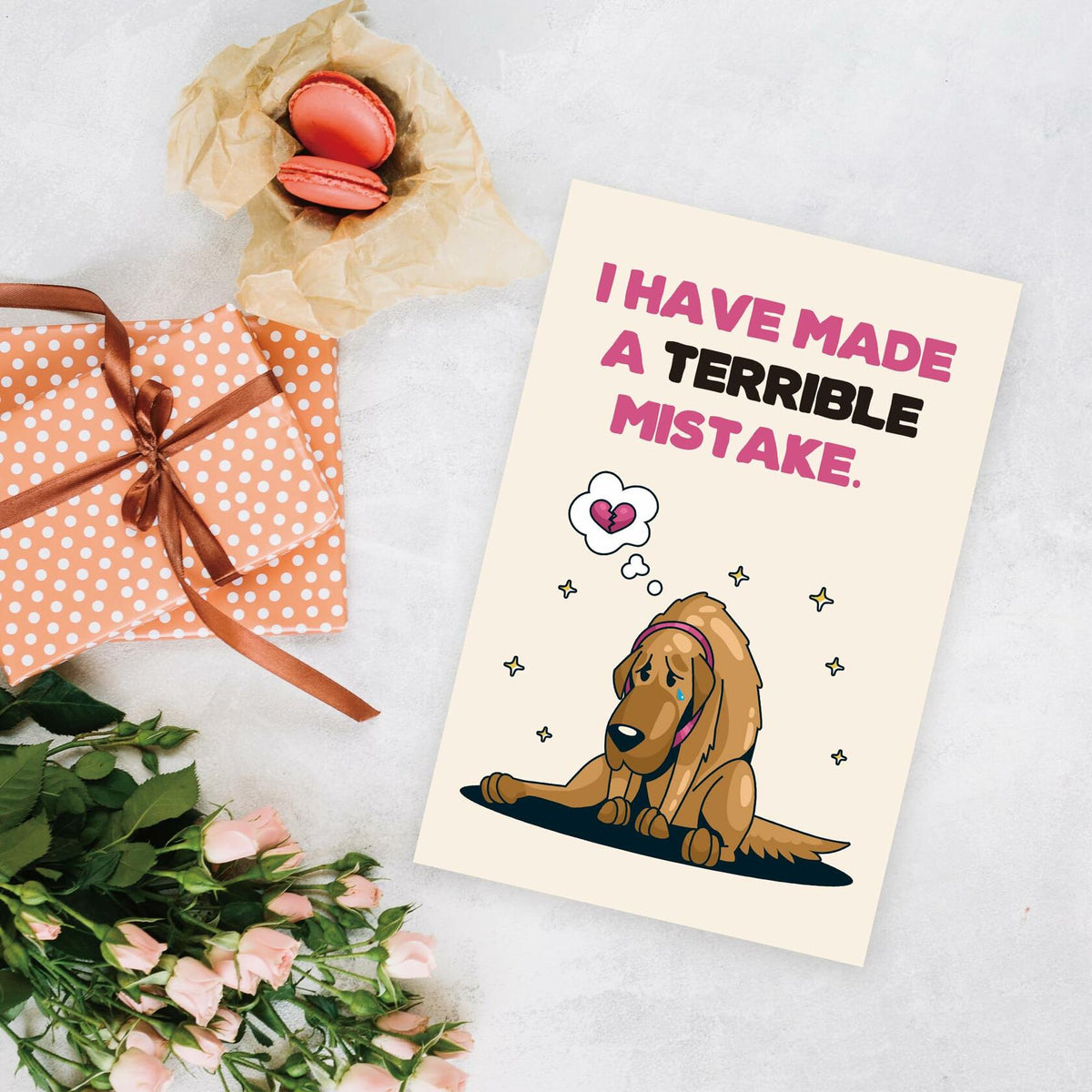 Detuca I'm Sorry Greeting Card Funny Apology Card for Her Him