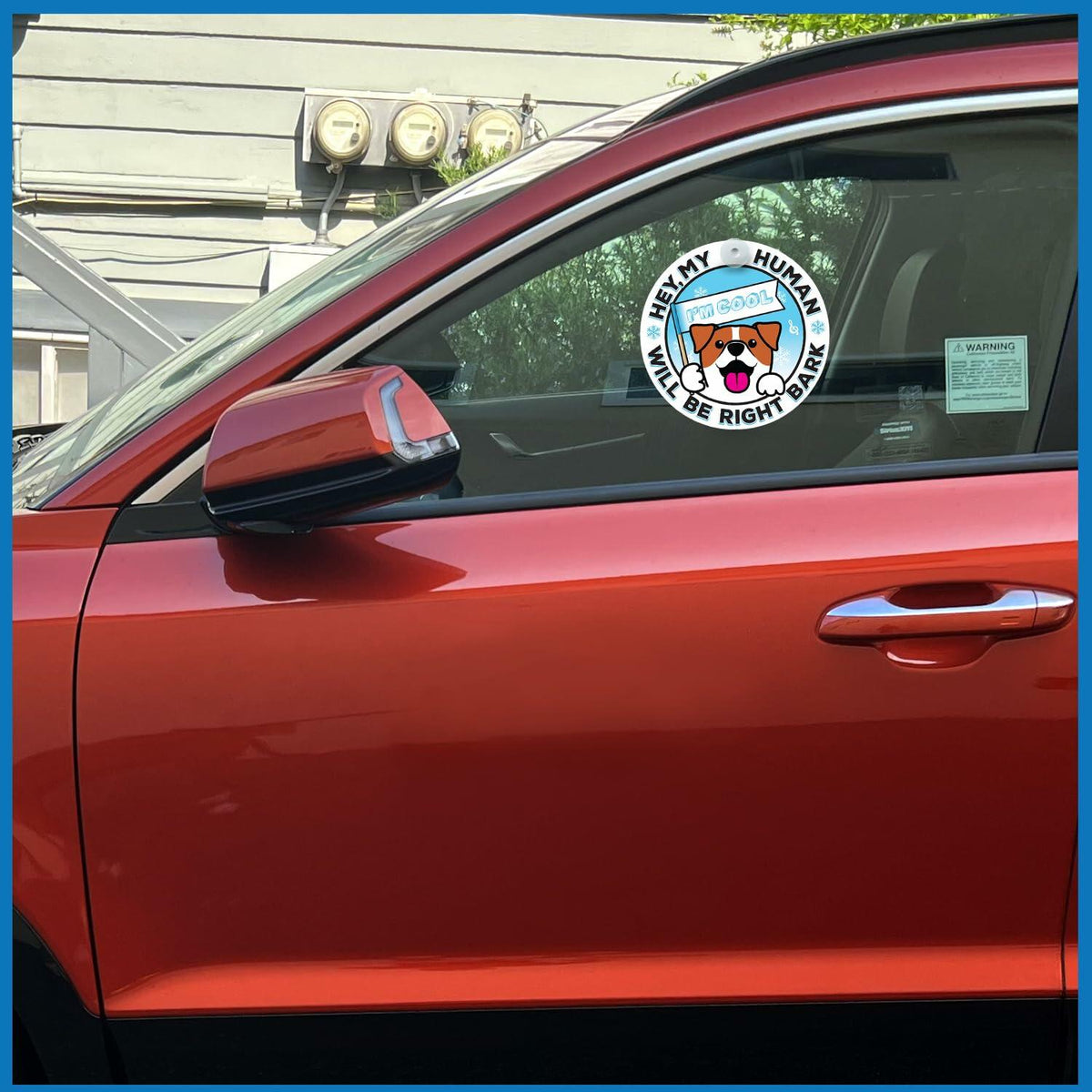 Generic I'M COOL Car Sign Pet Safety Alert Vinyl White/Blue Auto Accessory
