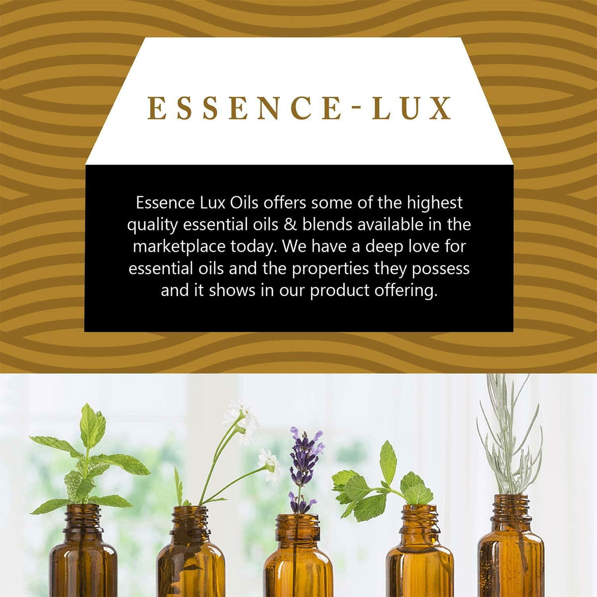 Essence-Lux Sandalwood Essential Oil 10ml 0.33oz Aromatherapy Dropper
