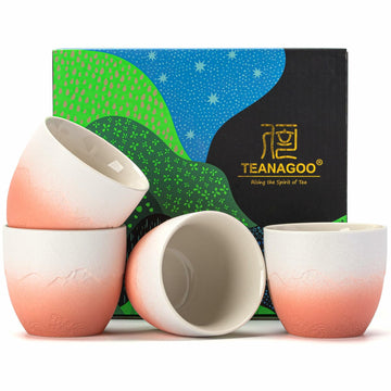 TEANAGOO Japanese Tea Cup 5.6oz Gradient Pink White 4 Pcs Box
