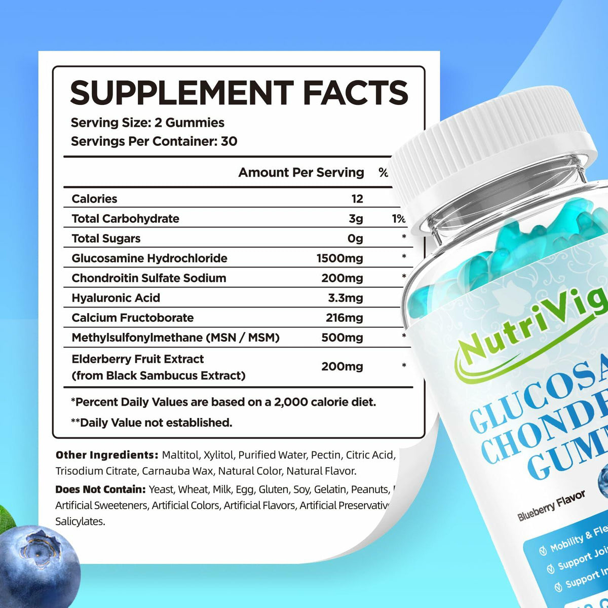 NutriVigor Glucosamine Chondroitin MSM Elderberry Gummies Blueberry 60ct