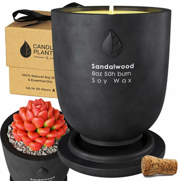 Matani Concrete Cement Candle Planter Aromatherapy Soy Black Sandalwood 3.1x4in