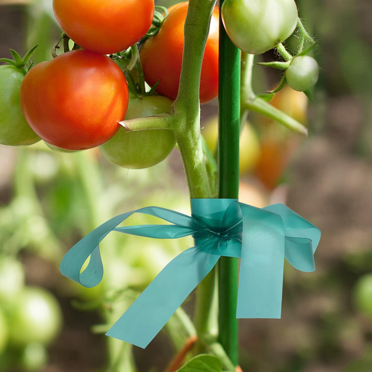 IKAYAS 300Ft Garden Plant Tape Rolls 2-Pack Reusable Tomato Plant Support
