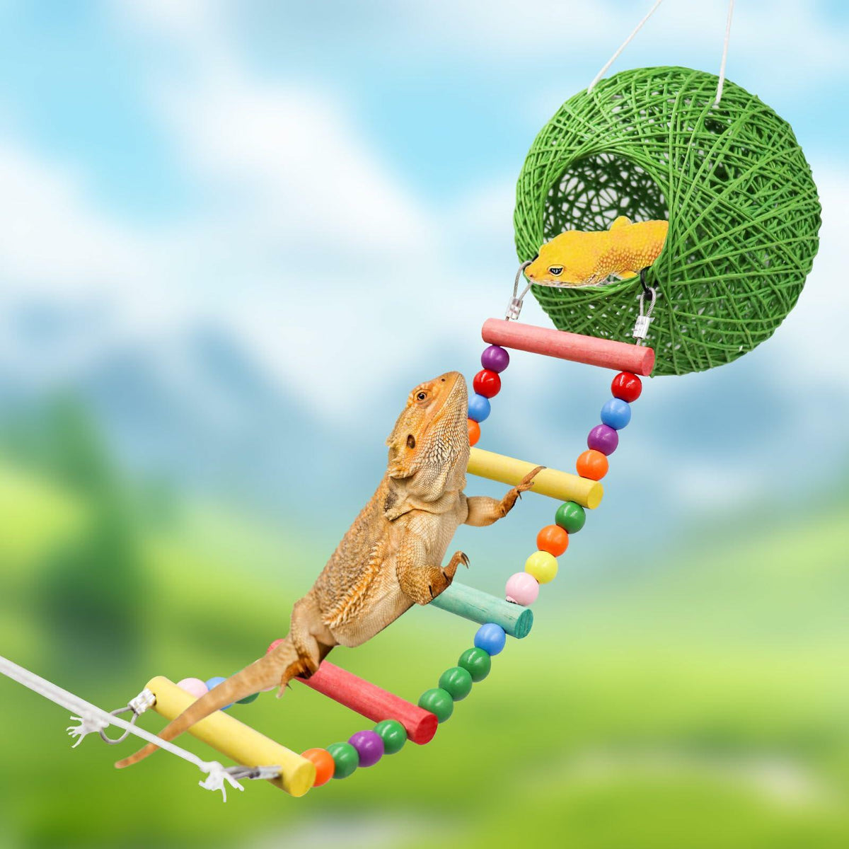 Neeenn Reptile Takraw Ball Hideout Climbing Toy Ladder Tank Decor