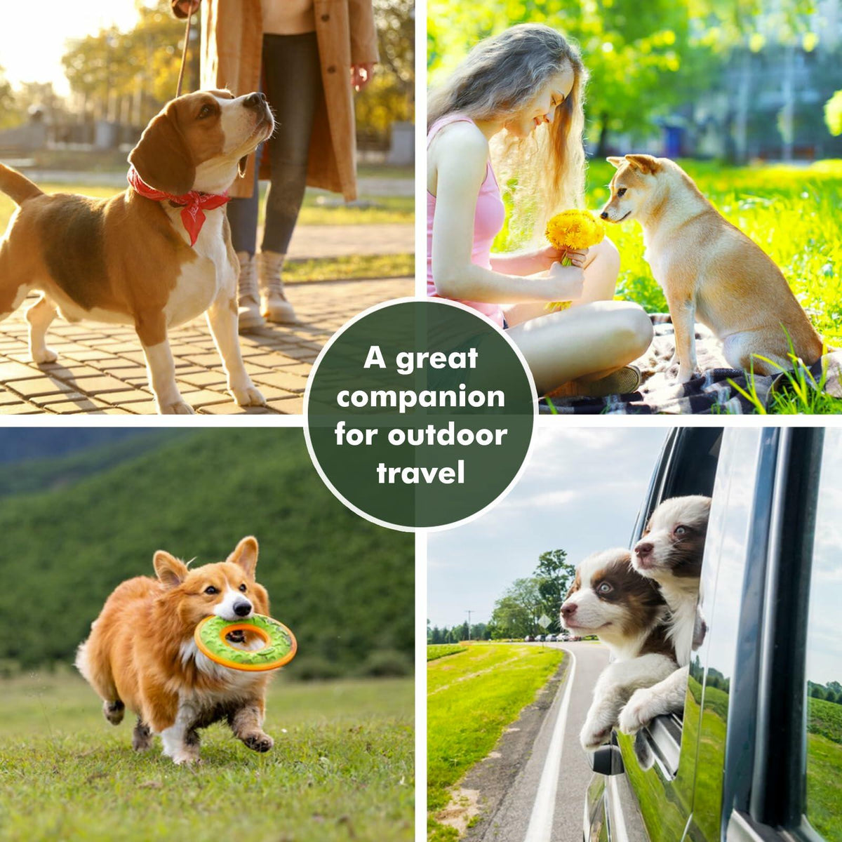 Collapsible Dog Bowl w/ Lid Travel Food Water Bowl 2-in-1 Portable 60oz