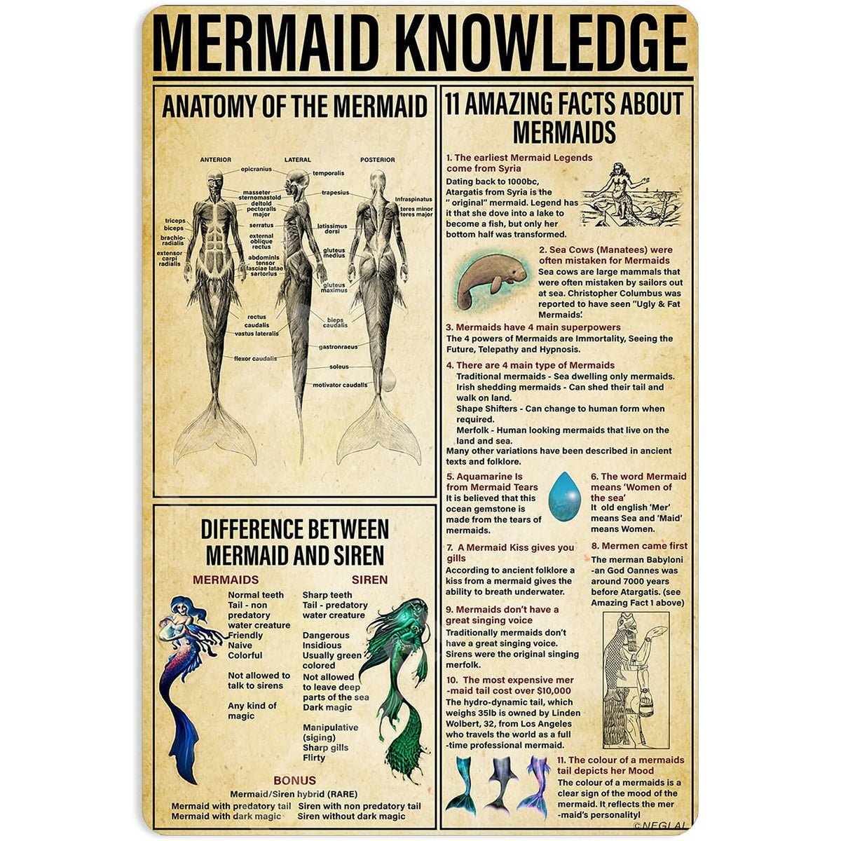 NEGLAI Mermaid Knowledge Metal Sign Poster Vintage Wall Art 16x12 Inches