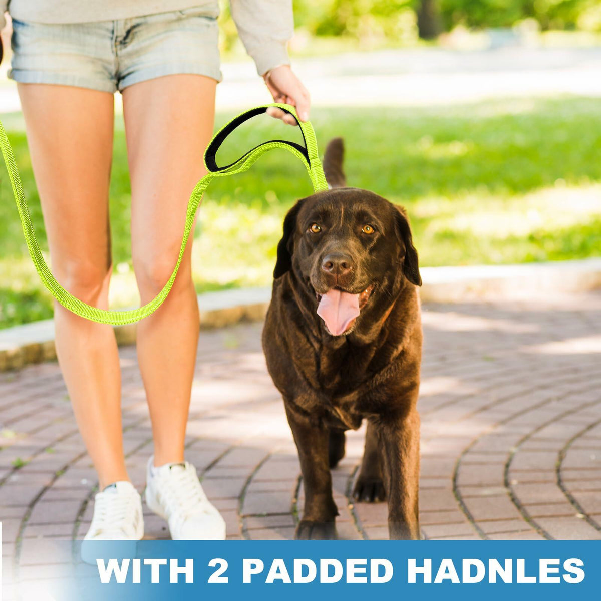 Htnlbqy Dog Leash Large Nylon Reinforced Reflective 5FT Bright Green