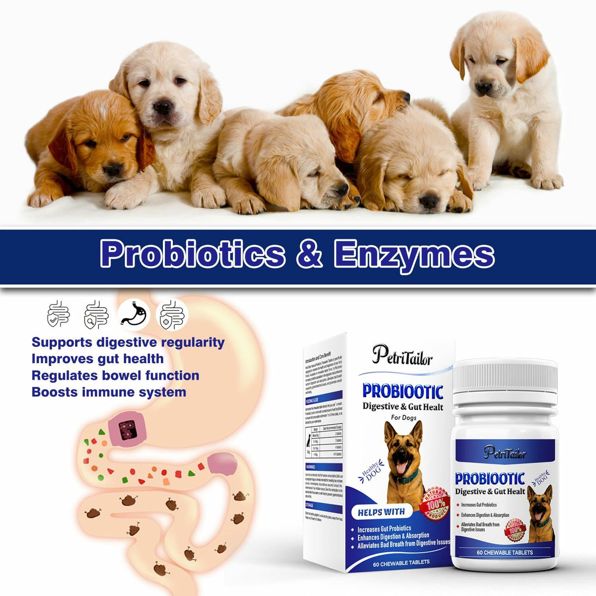 PetriTailor Probiotics Supplement for Dogs Digestive Enzymes Prebiotics