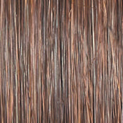 Raquel Welch Untold Story Wig, RL2/4 Off Black - New With Tags