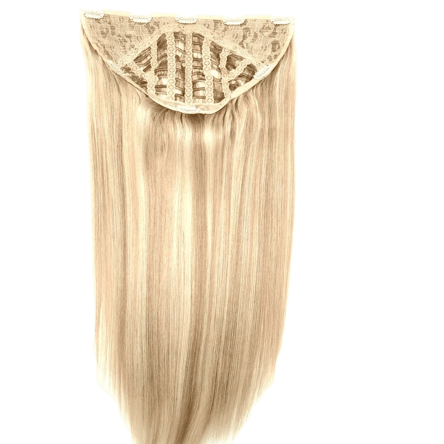 Pallet # 161 -  Lot of  Hair - variety of styles and colors
