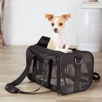 Soft-Sided Mesh Pet Travel Carrier