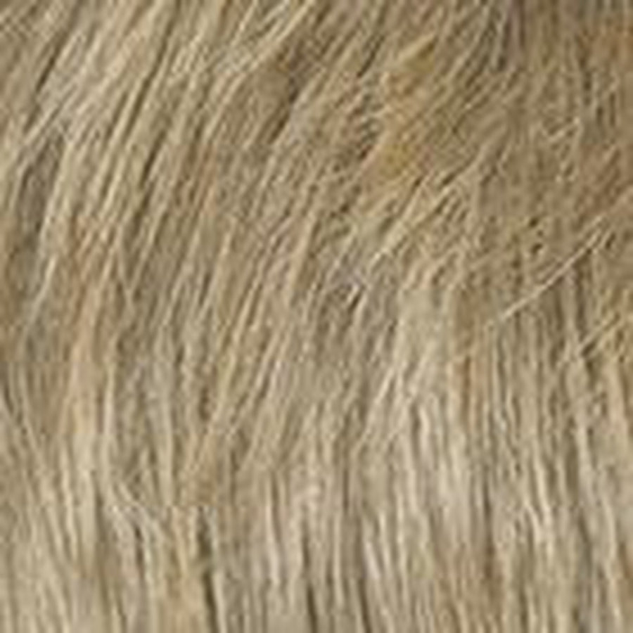 Eva Gabor Stylista Wig Hairpiece New With Tags - Choose Size