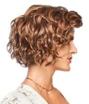 Eva Gabor Sweet Talk Wig New With Tags