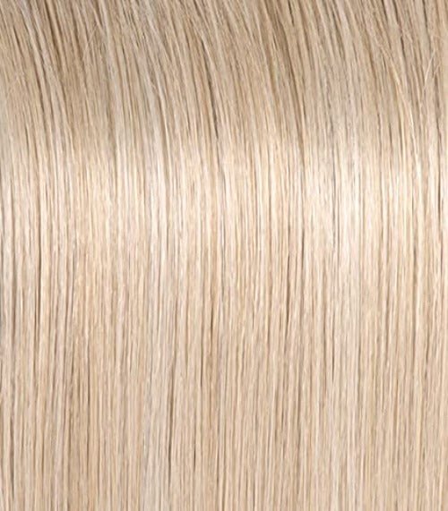 WELL PLAYED - Wig by Raquel Welch